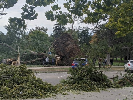 Utah Recovering After Windstorm